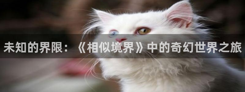 火狼官网动漫免费观看：未知的界限：《相似境界》中的奇幻世界之旅